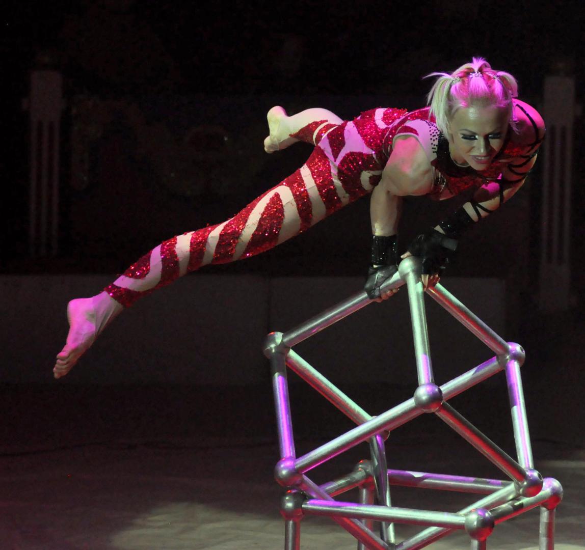 Cirque de Noel Geneve 2014