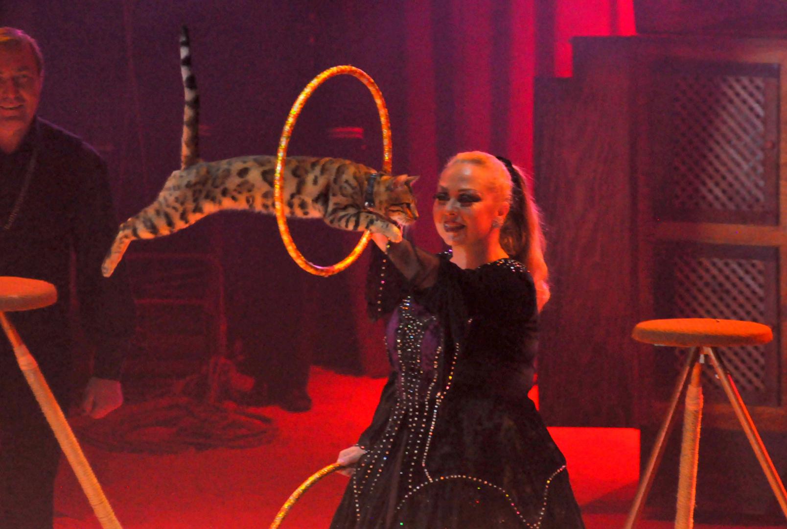 Cirque de Noel Geneve 2014