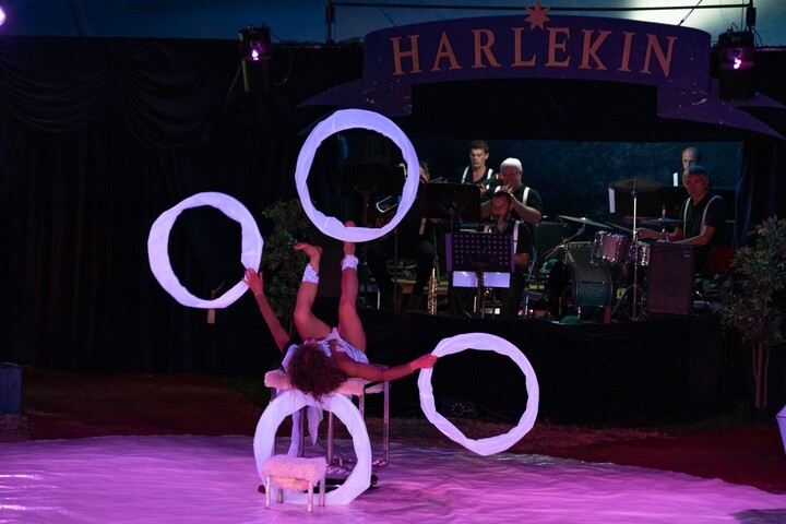 CVA Sommerplausch 2020 beim Circus Harlekin