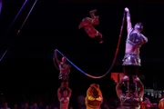 Circus Krone Konstanz 2016