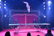 Circus Maramber Dez 23