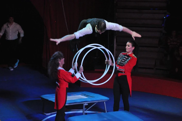 Cirque de Noel Moudon 2015